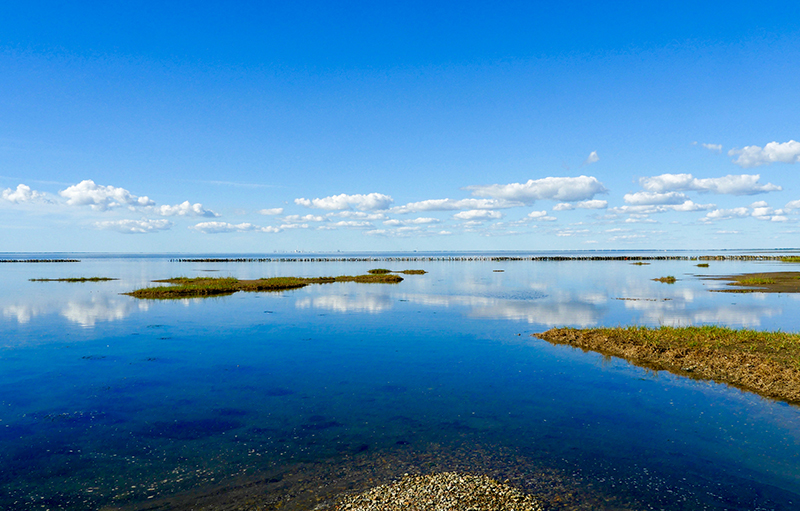 Bustur til Mandø/Fanø