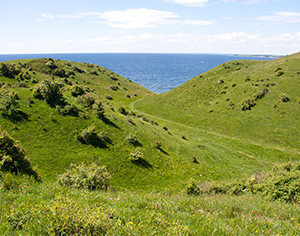 Bustur til Samsø