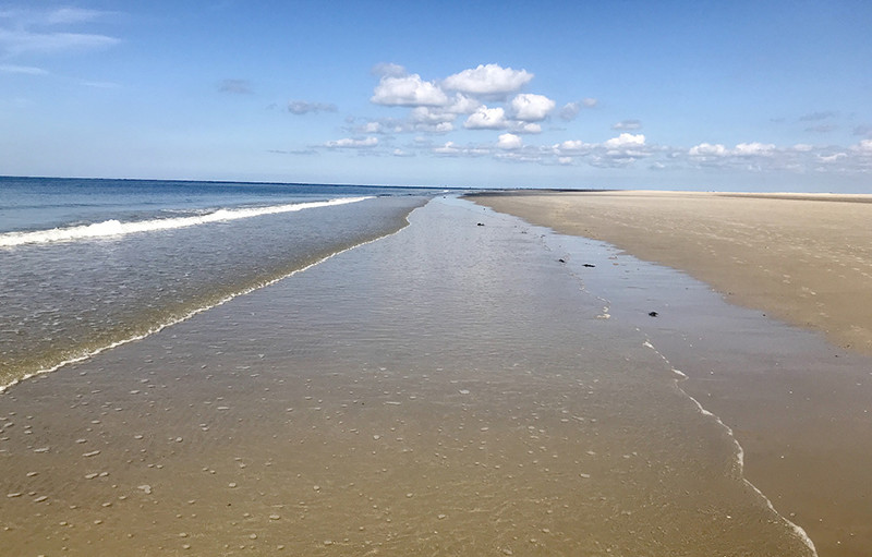 Fanø_Feature Bustur til Fanø