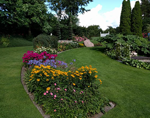 Bustur til Odense Sommerrevy_hjemmeside_2 Bustur