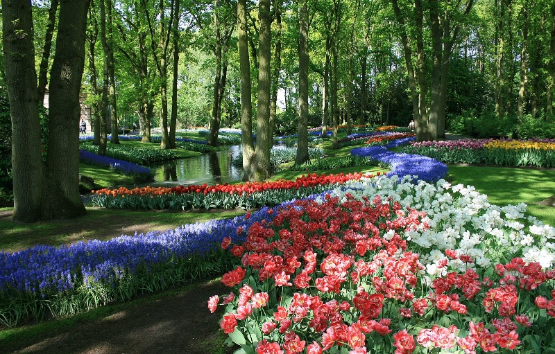 Blomstertur til Holland
